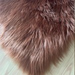 Dywan pluszowy - miękki - do salonu - Brązowy.jpeg