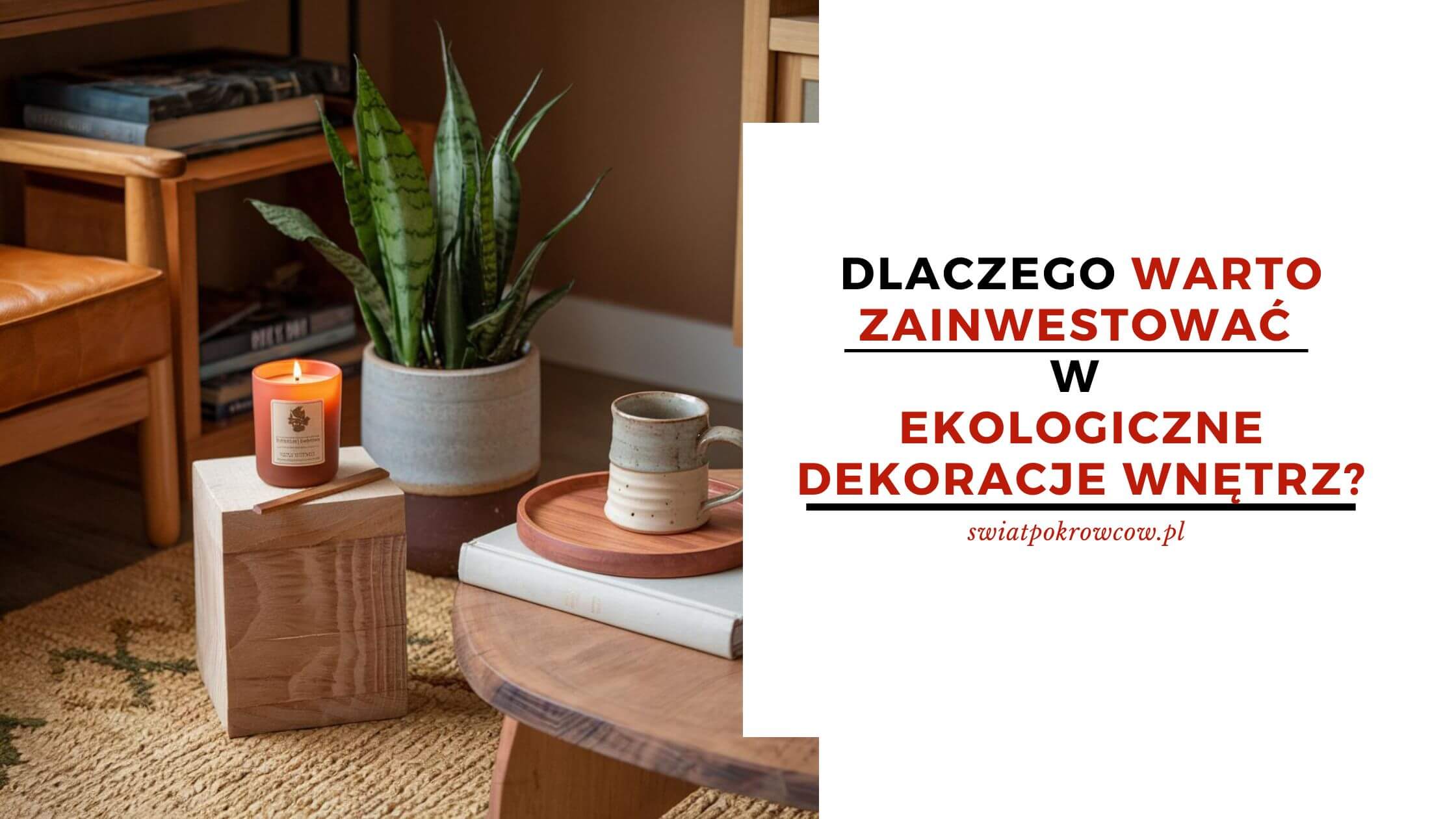 Dlaczego warto zainwestować w ekologiczne dekoracje wnętrz?