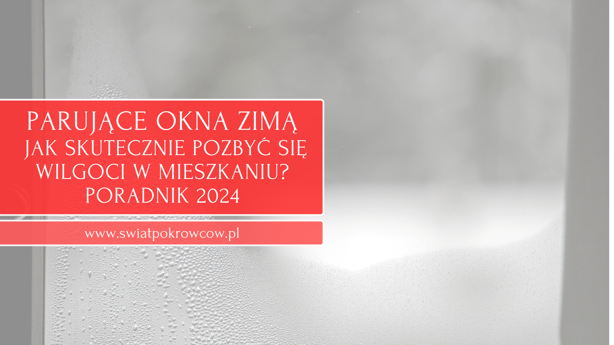 Parujące okna zimą - jak skutecznie pozbyć się wilgoci w mieszkaniu? Poradnik 2024